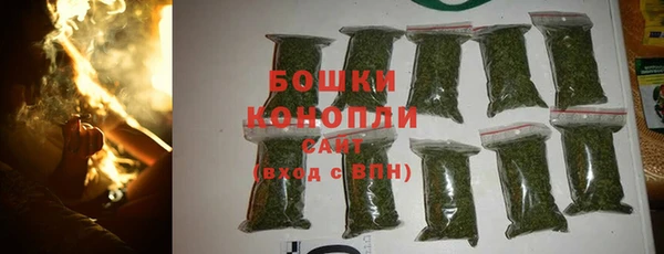 стаф Касимов